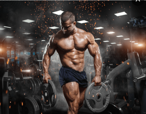 Magnum Quattro - 4-Stage Protein Isolate (Original) ©